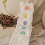 Set 3 x 26 Stk - Bambiboo  Einwegwindeln COTTONWEAR aus Bio-Baumwollemit Bio-Baumwolle für Babys, Größe 3 Midi (6-11 kg)